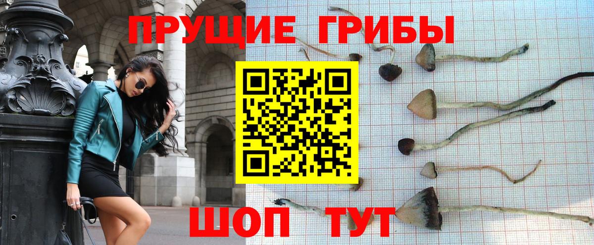 Ростов-на-Дону  Псилоцибиновые грибы Psilocybe  Вход с VPN 