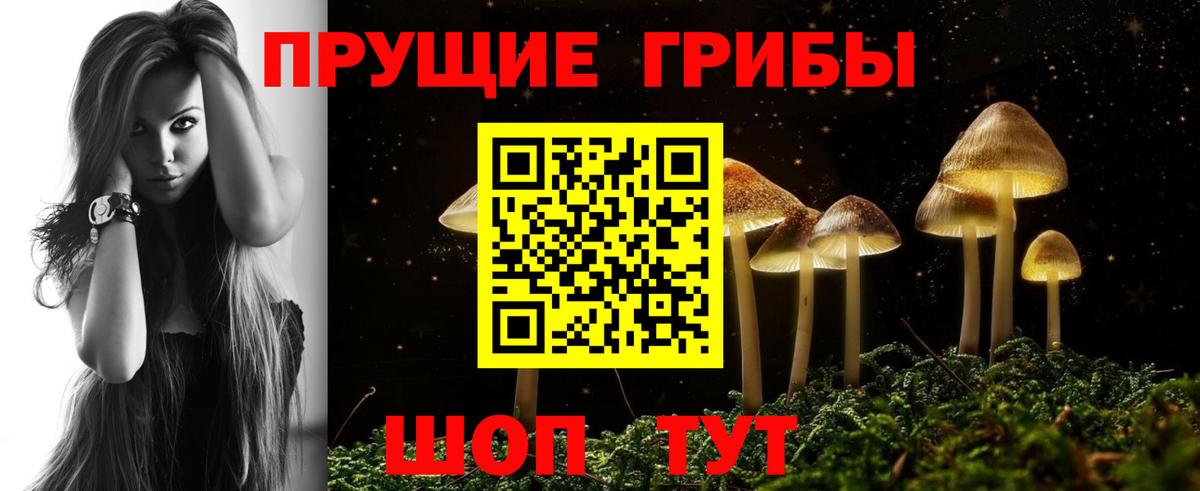Псилоцибиновые грибы Psilocybine cubensis Ростов-на-Дону